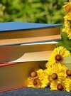 books-1757734_640