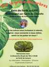 Par la grâce des arbres 