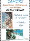 Exposition de photographies sous-marines