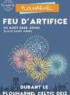 feu artifice