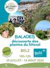Incroyables chemins