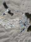 land art