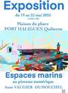 25.05.19 Anne Vaugier - Peinture