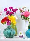 8. Compo florale vase