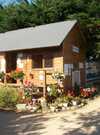Camping-les-Ormeaux-Morbihan-Bretagne-Sud Camping-les-Ormeaux-Morbihan-Bretagne-Sud