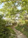 sentier-sainte-avoye-pluneret_792x528 sentier-sainte-avoye-pluneret_792x528