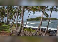 Guyane, une pépite en Amazonie