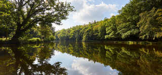 Ontdek het bos van Camors