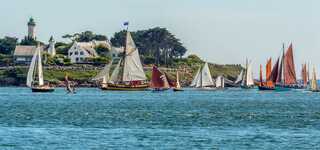 Semaine du Golfe : sorties en mer