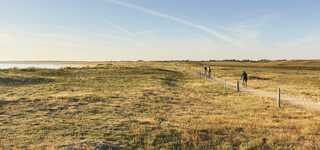 Grand site de France: de wilde duinen van Gâvres tot Quiberon