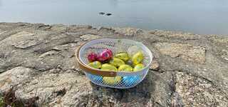 Pâques : chasse aux œufs 