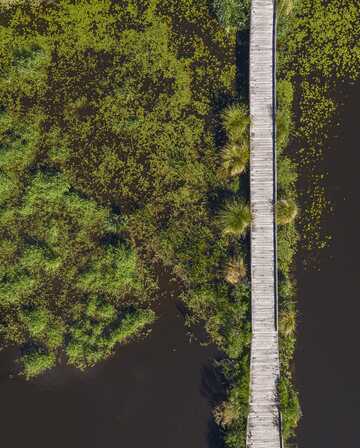 Pont de Brec'h