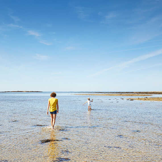 Pêche à pied