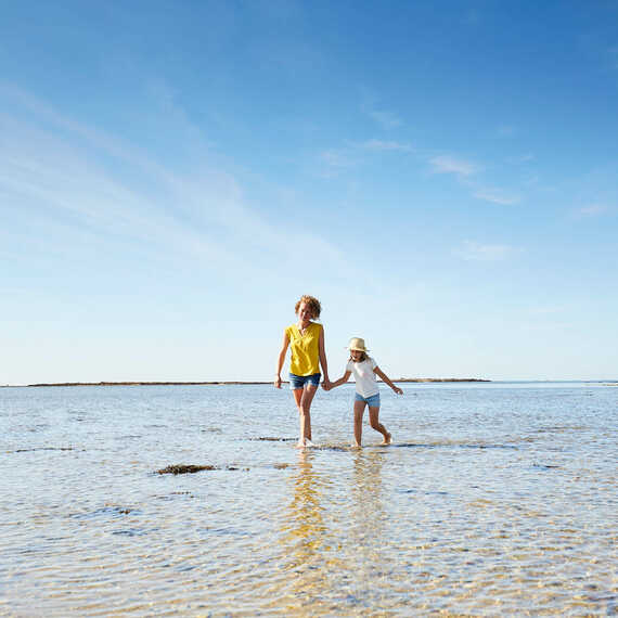 Pêche à pied à Locmariaquer pendant les grandes marées
