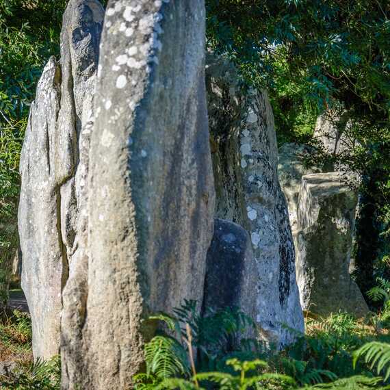Les géants de Kerzerho à Erdeven à la découverte des menhirs