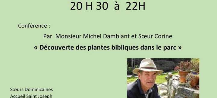 Découverte des plantes bibliques dans le parc Découverte des plantes bibliques dans le parc