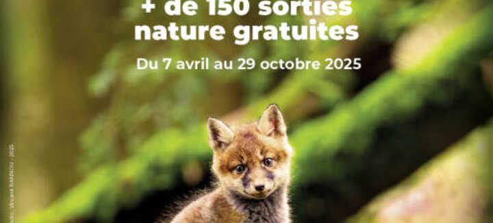 "Morbihan Grandeur Nature" - Musique verte et jeux buissonniers "Morbihan Grandeur Nature" - Musique verte et jeux buissonniers
