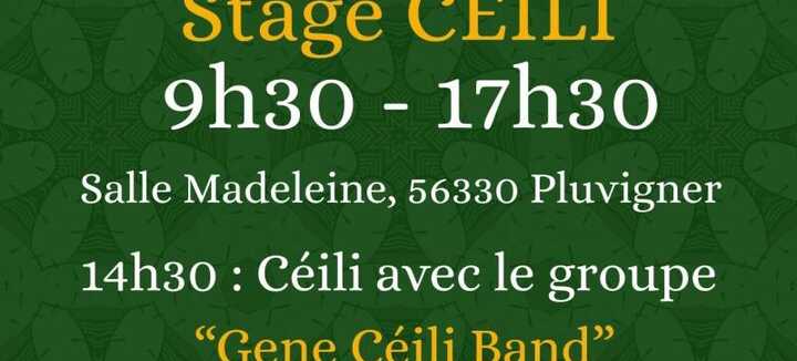 Stage de danses irlandaises