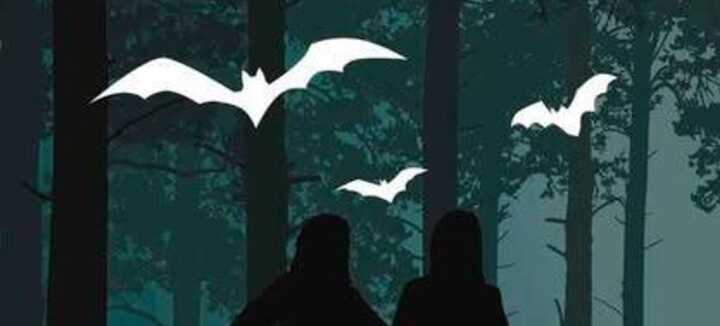 Les demoiselles de la nuit Les demoiselles de la nuit