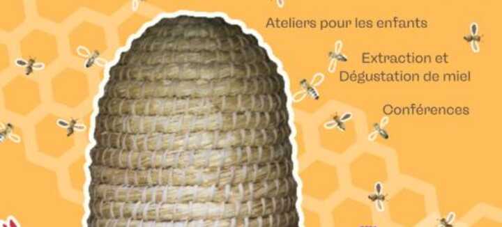 Ouverture de ruche et extraction du miel