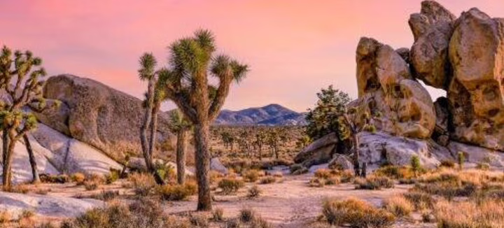 Ciné doc - Los Angelès - California