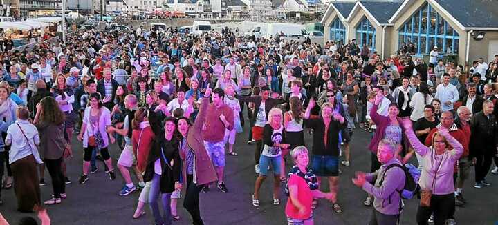 Sardine Festival Sardine Festival