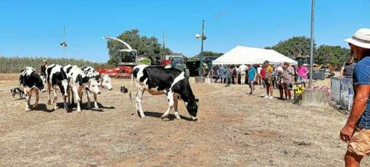 Comice agricole Comice agricole