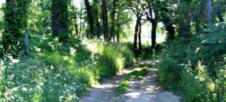 Pathway plant discovery wandelingen Pathway plant discovery wandelingen