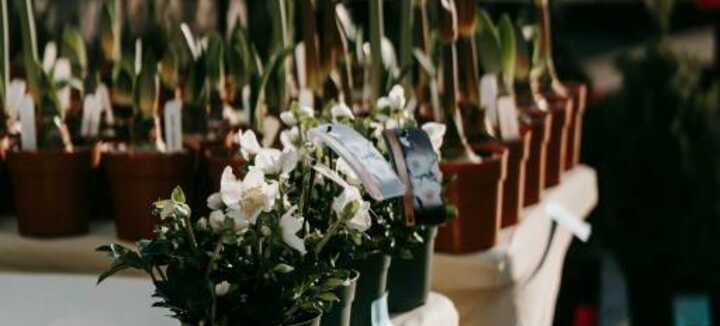 Fête des Plantes et Troc et puces