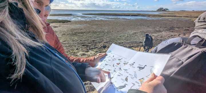 𝗟𝗲𝘀 𝗼𝗶𝘀𝗲𝗮𝘂𝘅 𝗵𝗶𝘃𝗲𝗿𝗻𝗮𝗻𝘁𝘀 𝗱𝗲 𝗹𝗮 𝗕𝗮𝗶𝗲 𝗱𝗲 𝗤𝘂𝗶𝗯𝗲𝗿𝗼𝗻 - Dunes Sauvages