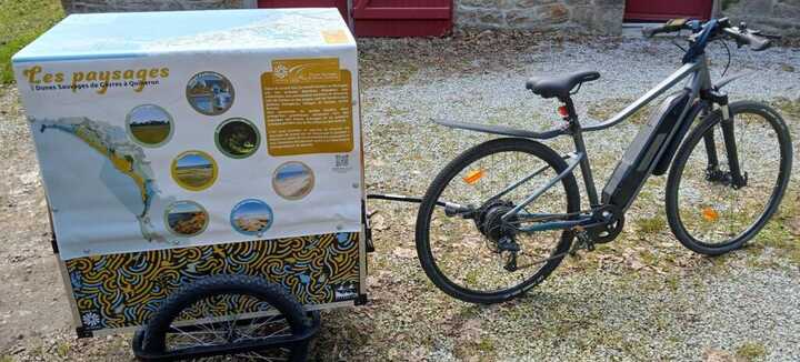 À vélo à la découverte des plantes sauvages des dunes À vélo à la découverte des plantes sauvages des dunes