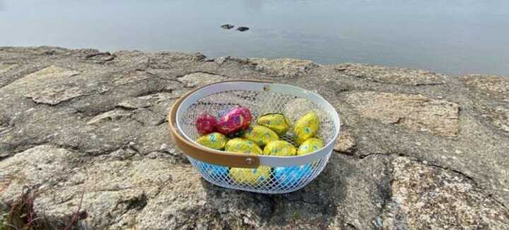 Chasse aux œufs à Saint-Cado