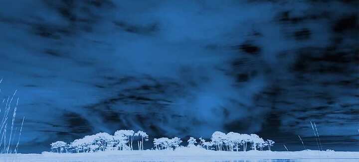 Exposition Les Bleues