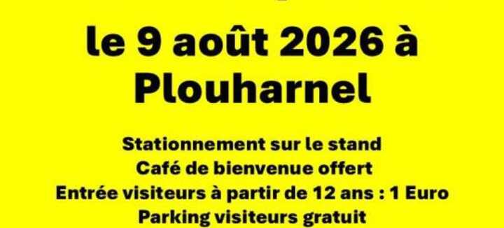Vide Grenier à Sainte Barbe