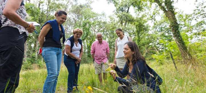 Balade : Sortie découverte des plantes des chemins Balade : Sortie découverte des plantes des chemins
