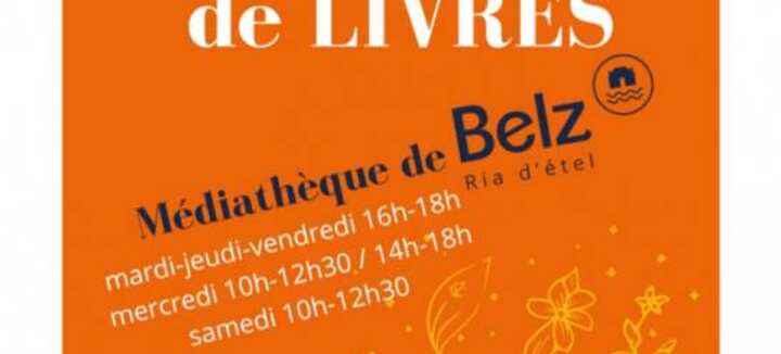 Braderie de livres Braderie de livres