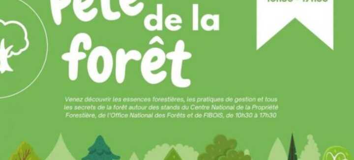 Fete de la foret - "Papillons et libellules" Fete de la foret - "Papillons et libellules"