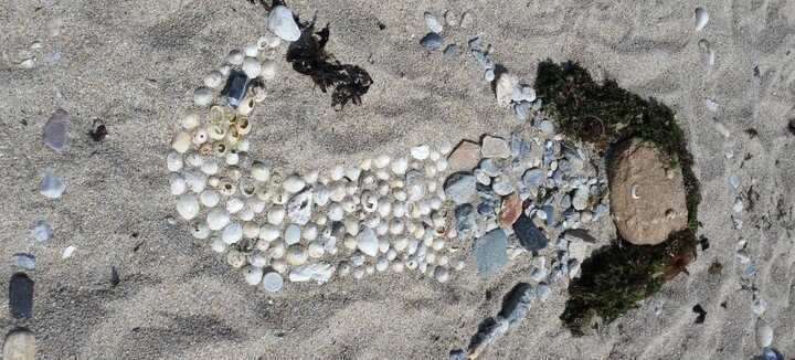 Atelier Land Art Atelier Land Art