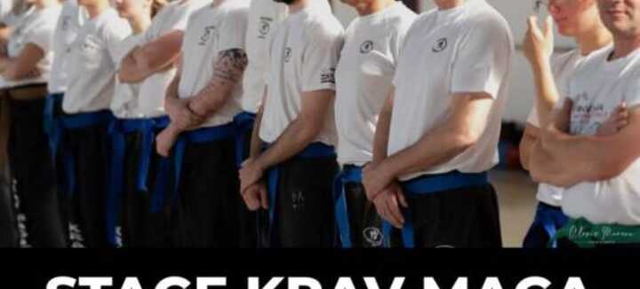 Stage Féminin de Krav Maga Stage Féminin de Krav Maga