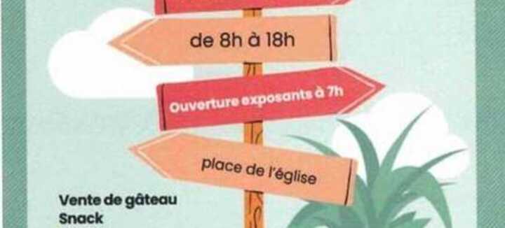 Vide grenier Vide grenier