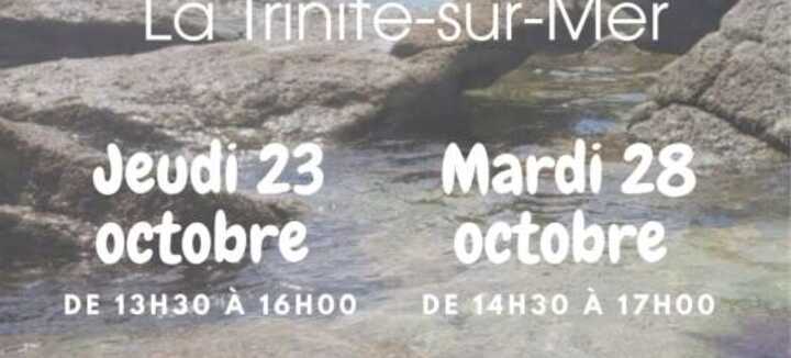 Découverte de l'estran : les petits animaux du bord de mer et sensibilisation à la pêche à pied Découverte de l'estran : les petits animaux du bord de mer et sensibilisation à la pêche à pied