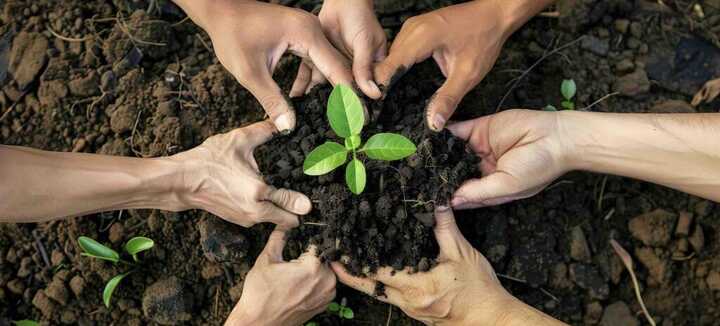 S'initier à la permaculture