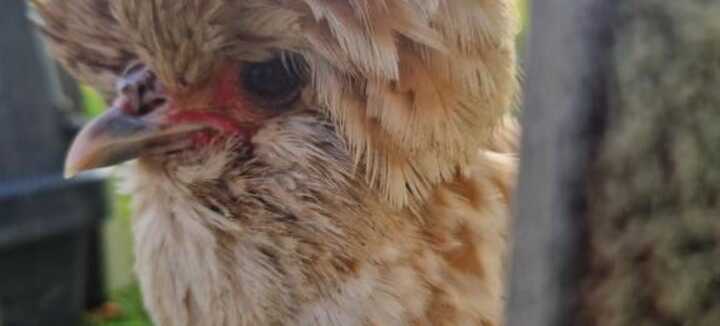 Atelier assistante maternelle