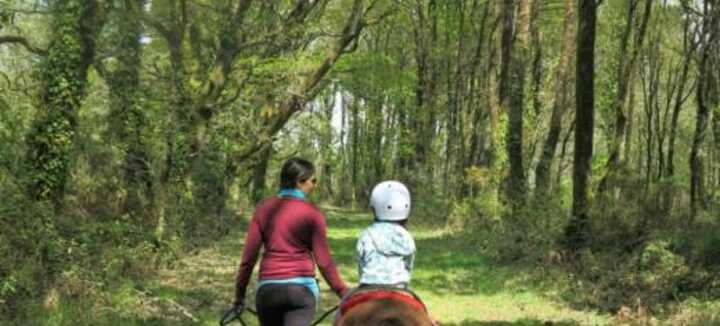 Balade en main à poney ou à cheval