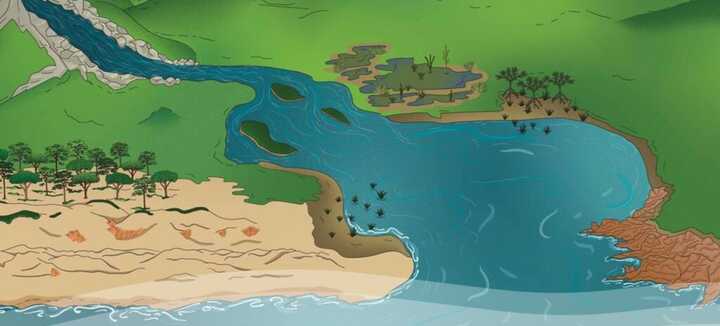 Réalisez une Fresque du littoral avec Surfrider Foundation !