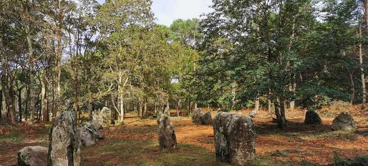 Journées Européennes de l'Archéologie : Découverte des mégalithes du Bois du Varquez, Erdeven
