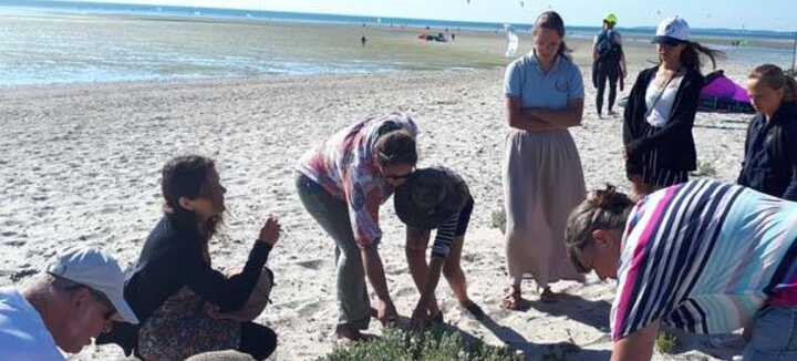 Balade découverte des plantes du littoral