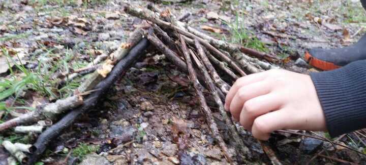 Animation nature 3/6 ans