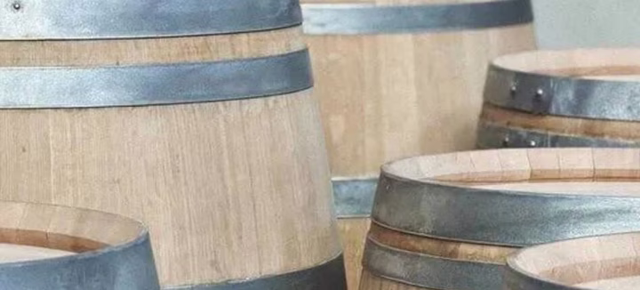 Viste d'entreprise - Vignes de la Ria à Belz