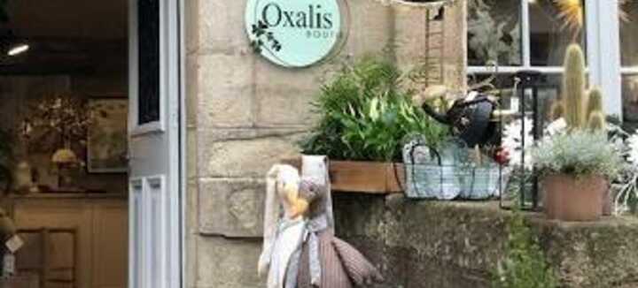 Oxalis - Boutik Oxalis - Boutik